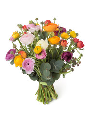 Colorful Ranunculus flowers bunch isolated on white.