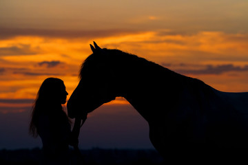 Beautiful horse with girl silhouette on sunset