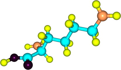 Lysine acid molecule isolated on white