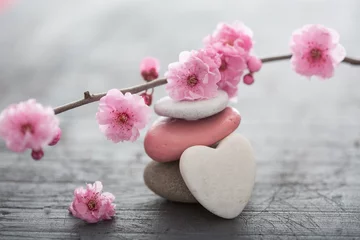 Crédence de cuisine en verre imprimé Zen fleurs zen