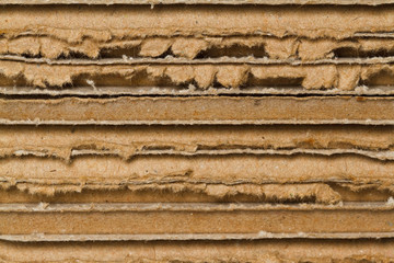 The cut surface of the carton.