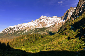 Fototapeta premium Glacier Park