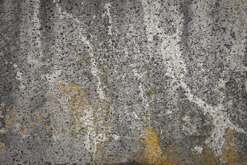Detail of a moldy wall