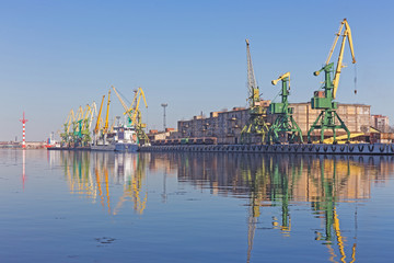 Fototapeta premium port cranes on the shore