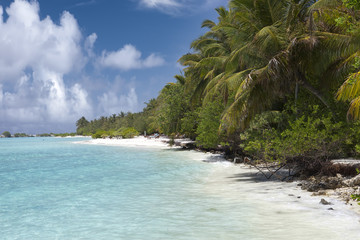 sandy beach at the cyan sea. Maldives