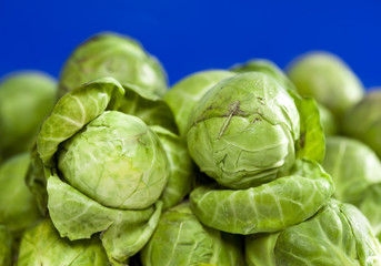 Obraz premium Brussels sprout