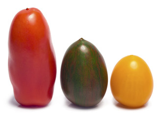 tomatoes of different grades and color