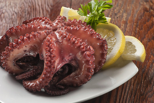 Octopus salad