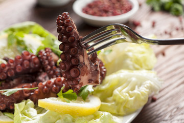 Octopus salad