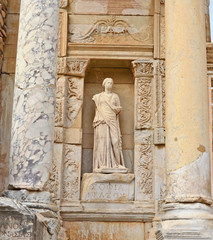 Fototapeta premium Wisdom