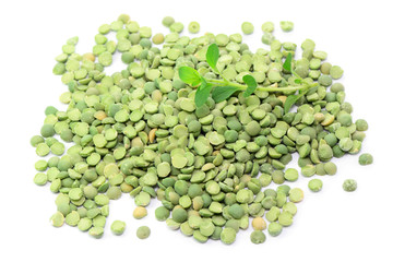 Hülsenfrüchte Linsen