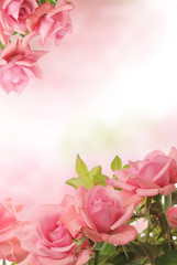 Naklejka premium card with pink roses