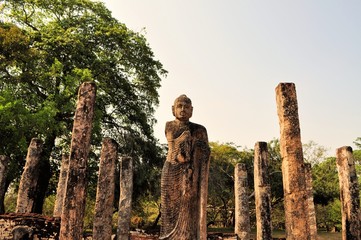 Buddha and Pillars in Polonnaruwa, Sri Lanka