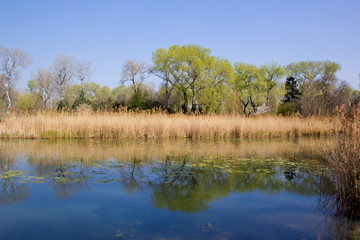 Frühling im Donaupark Wien