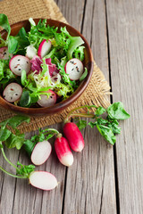 Obraz na płótnie Canvas Fresh salad with radishes