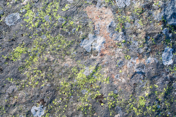 The surface of the granite monolith