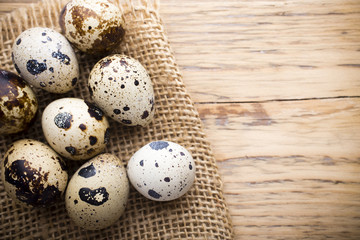 Quail eggs. Easter greeting card.
