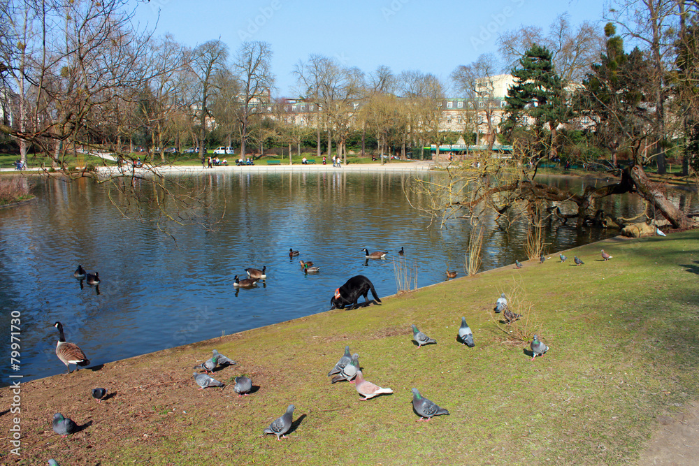 1000_F_79971730_6XaIxs5TcGTouCD5PiUuJgUftwzEsRPo.jpg