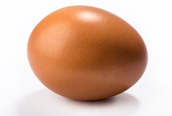 egg on a white background