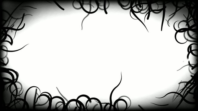 Black Vines Border Background Animation - Loop White