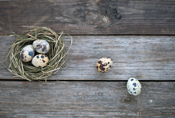 Quail eggs in a straw nest