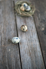 Quail eggs on a wooden table