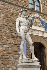 David statue by Michelangelo Buonarroti in Florence, Italy