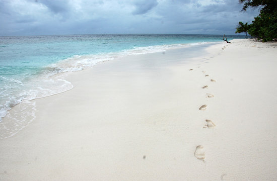 Trace at white sand beach