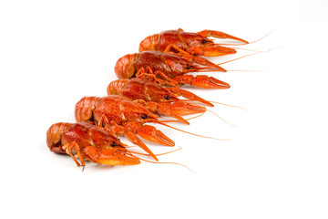 boiled crawfish isolated on white