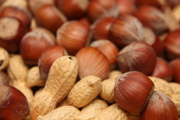 Nuss-Mix