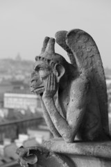 Notre Dame Cathedral, Paris
