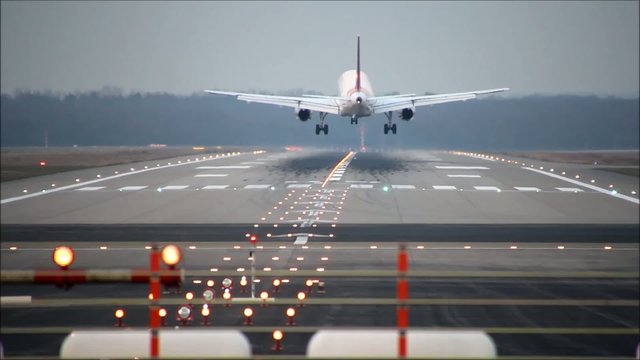 Flugzeug landend Heckansicht