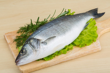 Raw seabass
