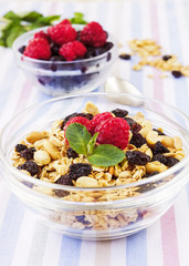 Honey glazed oatmeal, nut and coconut chips granola in a glass b