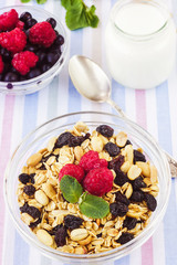 Honey glazed oatmeal, nut and coconut chips granola in a glass b