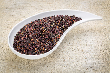 black quinoa grain grown in Bolivia