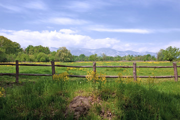 Paesaggio Primaverile