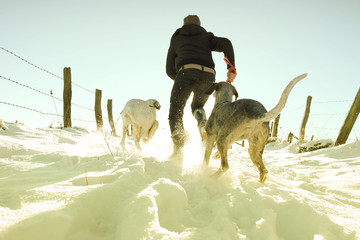 Germany, Bergisches Land, man running with dogs in winter landscape
