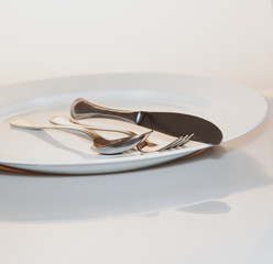Knife, spoon and fork on the plate