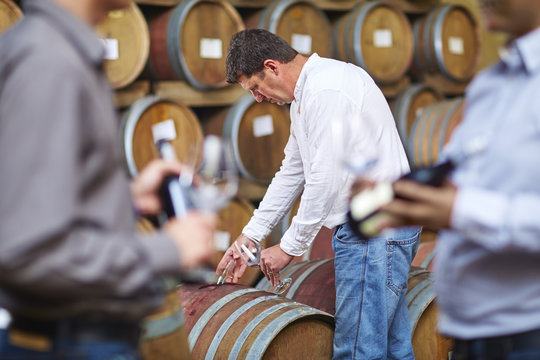 Wine makers tasting wine in wine cellar