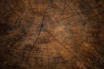Old wood background