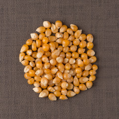 Circle of corn
