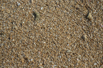 Sand texture