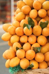 Marian plum fruit - asia fruit