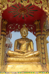 Fototapeta premium the gold buddha statue sitting under the sun light