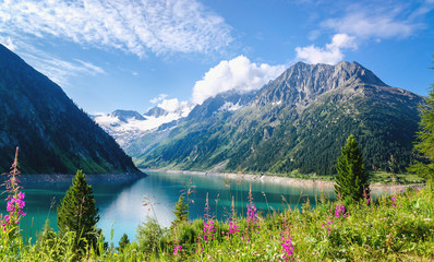 Crystal clear alpine lake Schlegeis with colorful flowers and mo