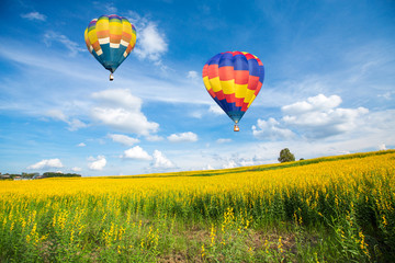 Naklejka premium Hot air balloon over yellow flower fields against blue sky