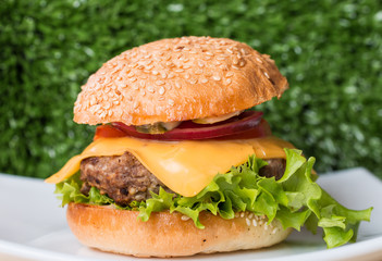 Closeup of classic burger