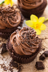 Delicious Mothers day  chocolate cupcakes  with spring flowers