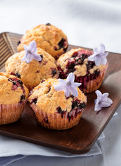 Homemade black berry muffins  for mother's day breakfast